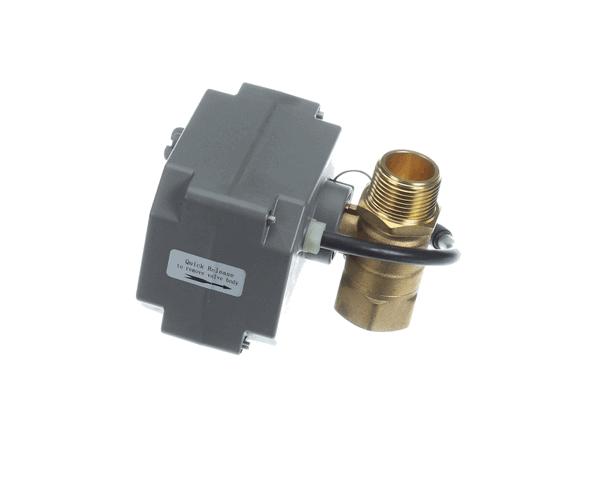 Rheem AP19457 SP21199 - AUTOMATIC SHUT-OFF V