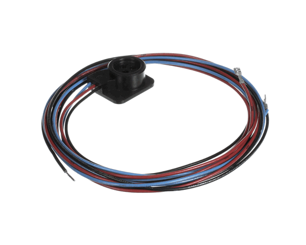 Trane WIR03351 WIRE, SCROLL COMPRESSOR WIRING