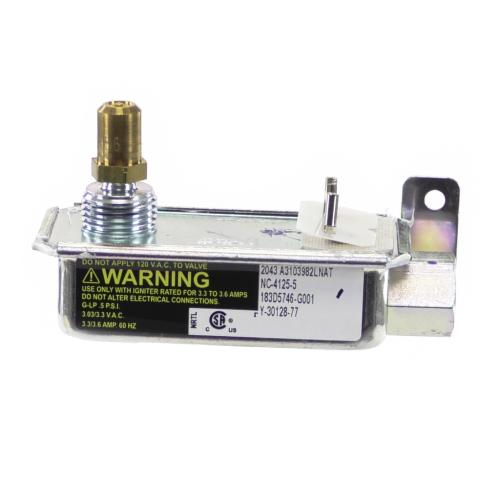 GE WB19K31 VALVE SAFETY