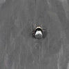 GE WB21X10162 TCO - BOTTOM
