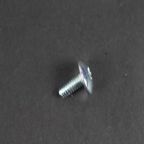 GE WE2M163 SCREW #10