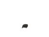 Honda 17231-Z0Z-010 AIR CLEANER COVER