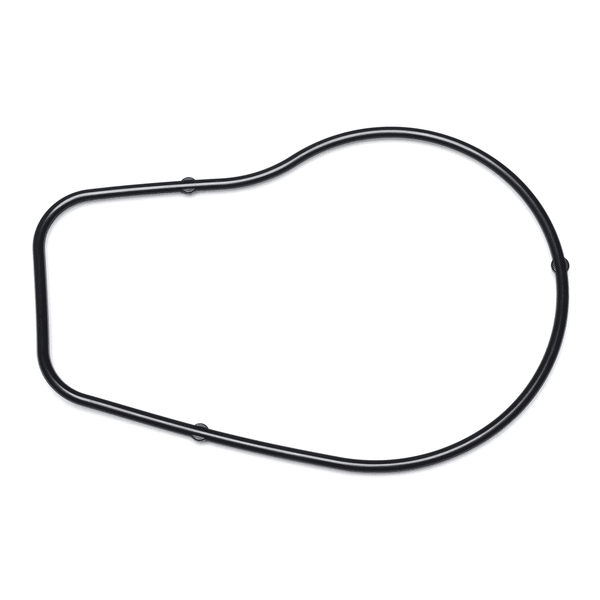 Honda 19229-ZG8-003 O-RING- Water Pump