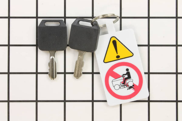 Ariens 21546640 KEY/CHAIN.BLISTER Pack.gen.ce