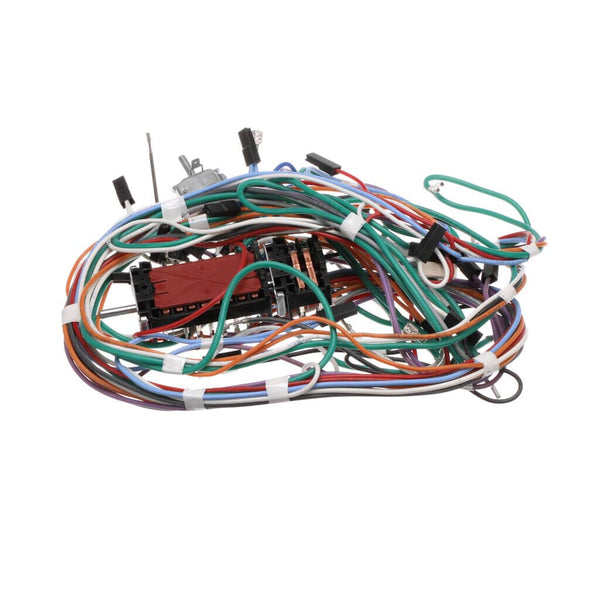 Bertazzoni 6017164 Wiring For Lamp+c.fans+ignitio