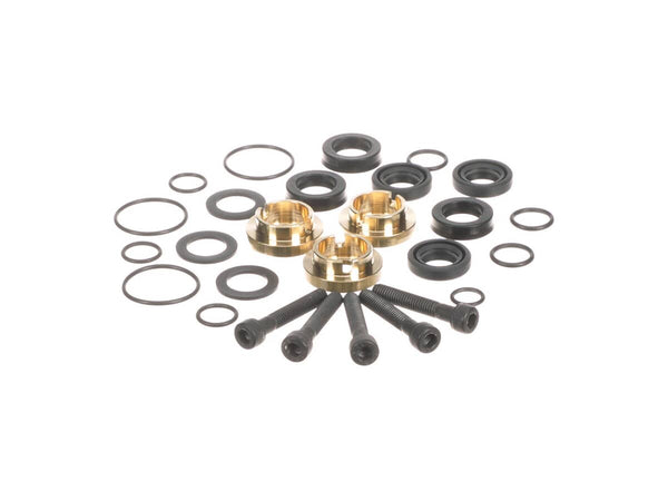 Briggs Stratton 190595GS Kit, Seal Set