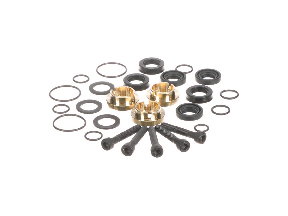 This is a genuine Briggs Stratton 190595GS KIT, SEAL SET