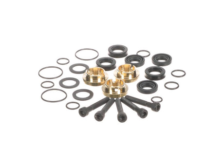 This is a genuine Briggs Stratton 190595GS KIT, SEAL SET