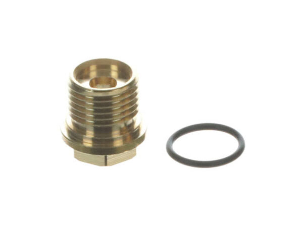 Briggs Stratton 201495GS Plug