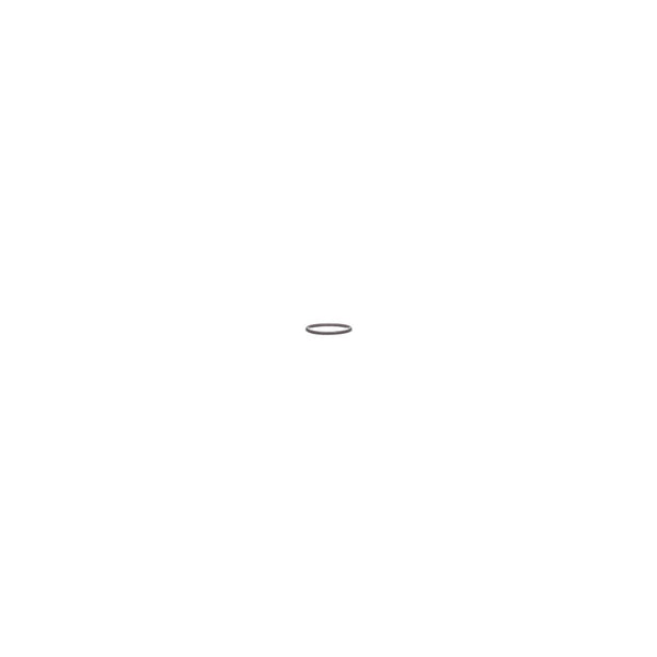 Briggs Stratton 799051 SEAL-O Ring