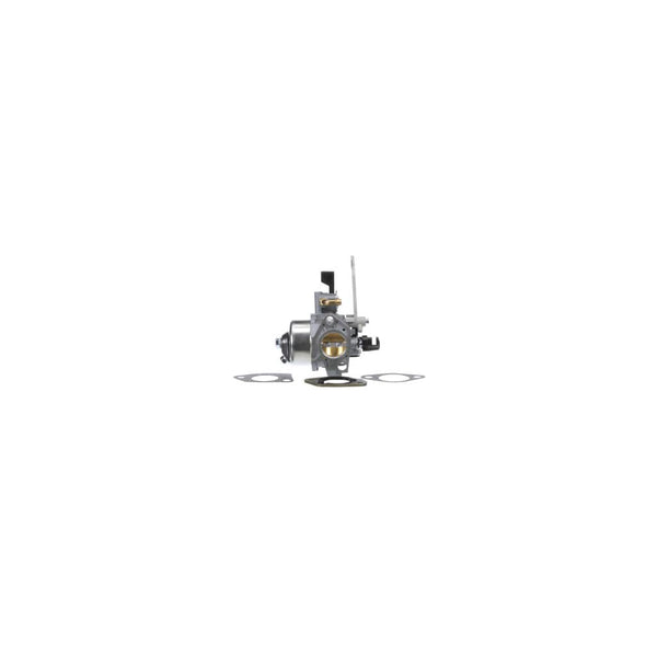 Briggs Stratton 799882 Carburetor