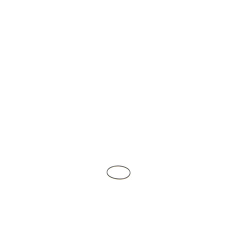 This is a genuine Dewalt 5140036-11 O-RING