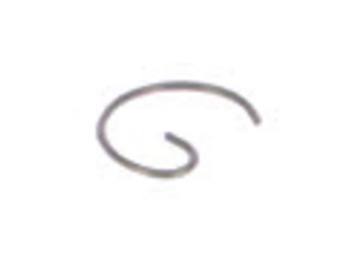 This is a genuine Echo 10001504630 RETAINING RING