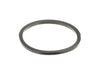 Echo 4020100 SEAL-CAP