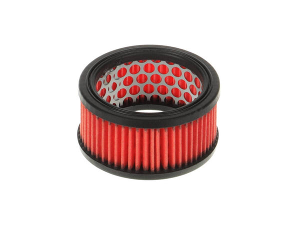 Echo A226000070 FILTER-AIR