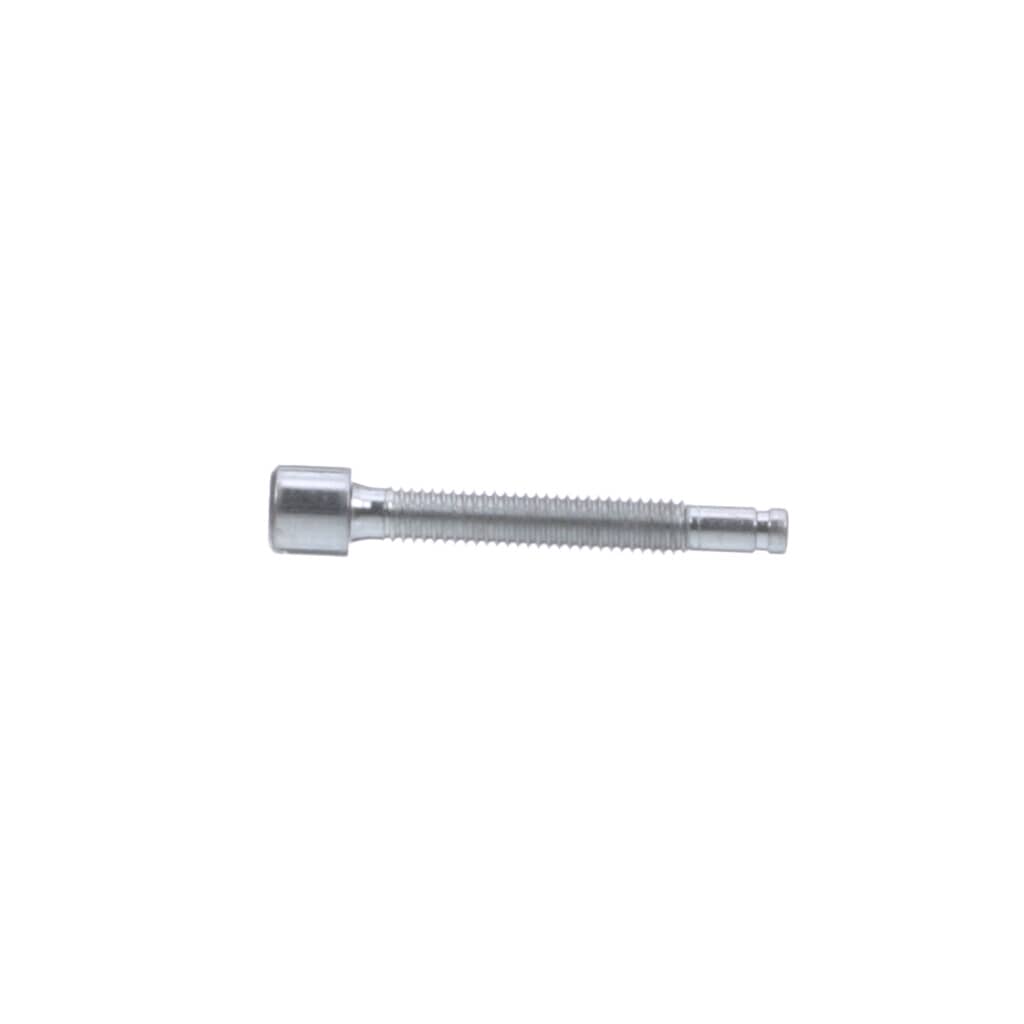 This is a genuine Ego 5620547001 SCREW