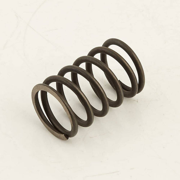 Generac Delco 0G84420124 Spring Valve