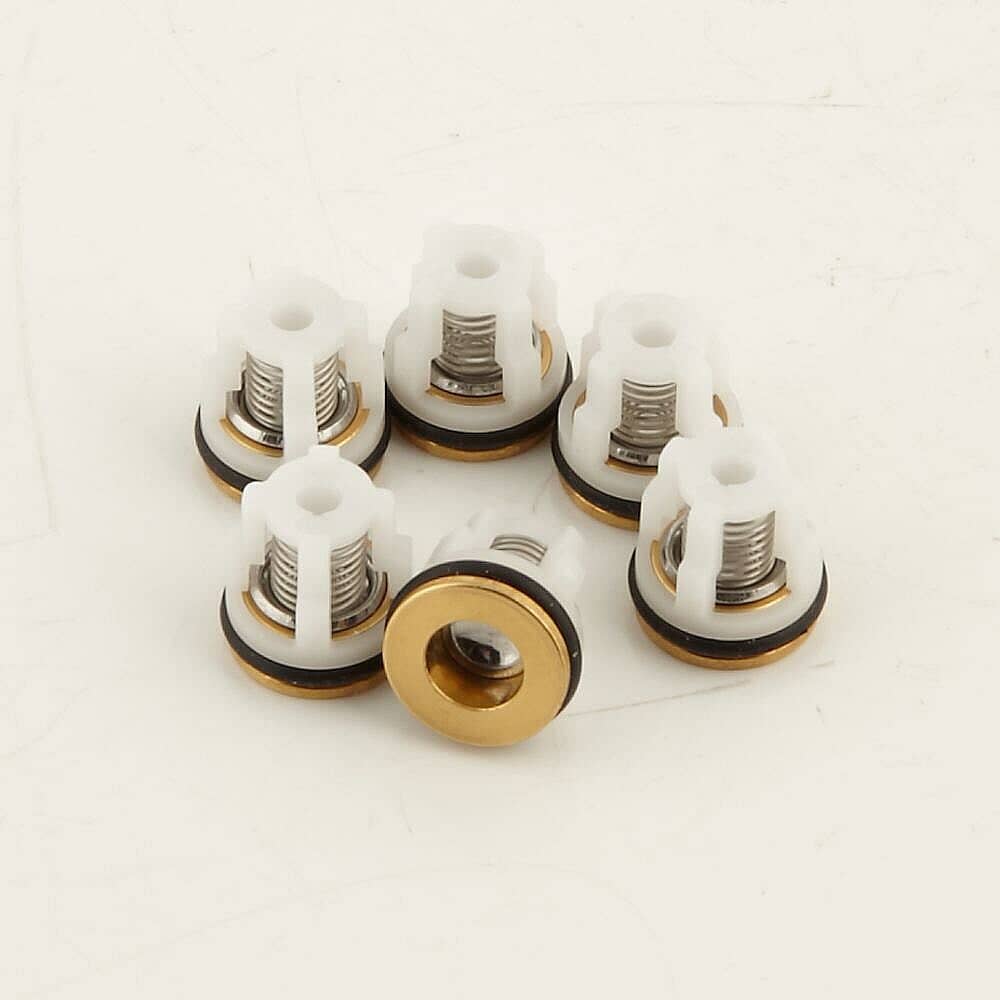 This is a genuine Generac Delco 0J04790110 KIT VALVES PW