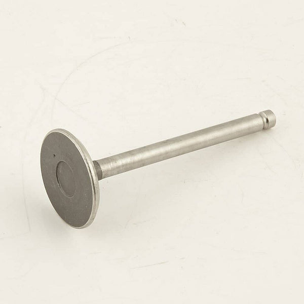 Generac Delco G086517 Valve,intake