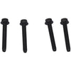 Husky E106669 Screw, Kit Of 4