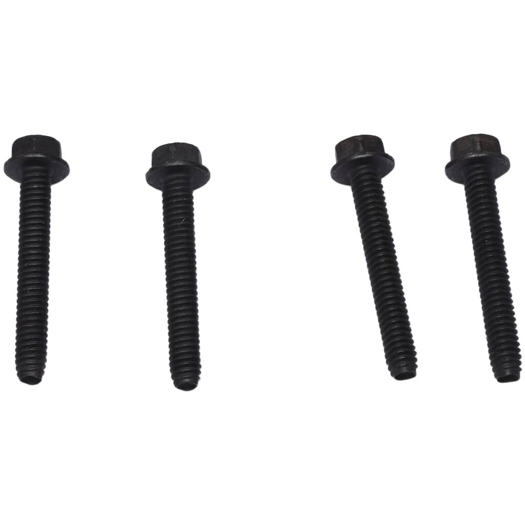 This is a genuine Husky E106669 SCREW, KIT OF 4