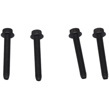 This is a genuine Husky E106669 SCREW, KIT OF 4