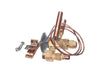 Heatcraft 29311810 Txv