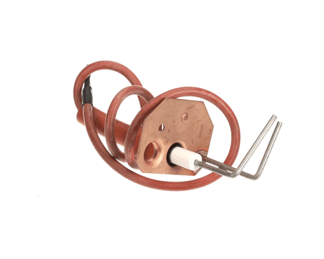 This is a genuine International Comfor 1173828 IGNITOR ASSEMBLY