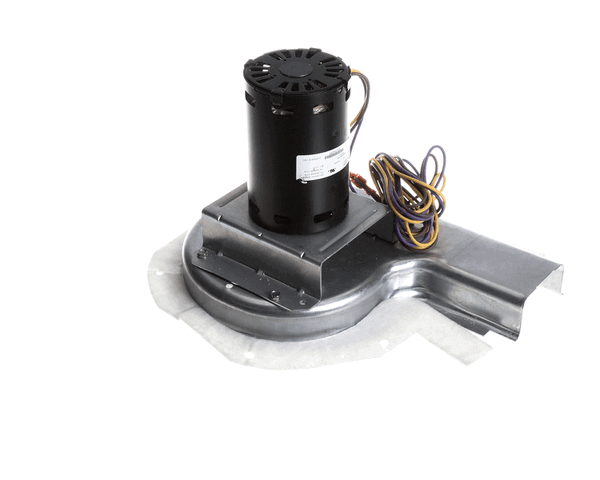 International Comfor 1188243 INDUCER MOTOR ASY 230V
