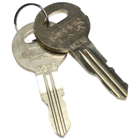 This is a genuine Knaack 70022-216 RPLCMNT KEYS (2) CODE #M216