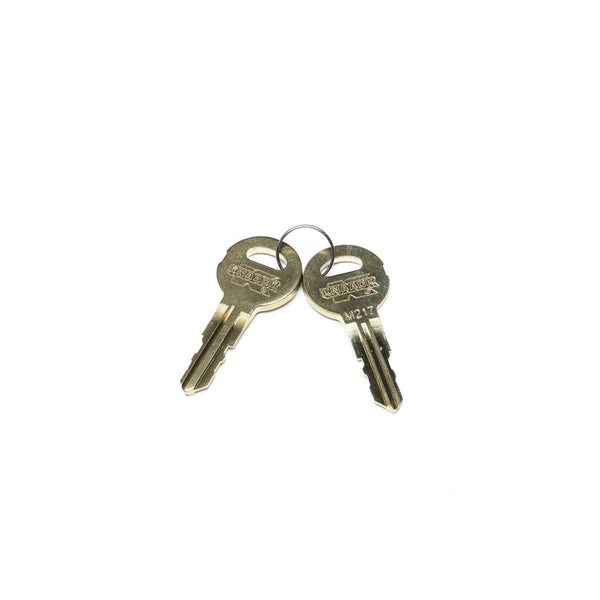 Knaack 70022-217 Rplcmnt Keys (2) Code #M217