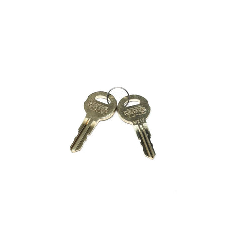 This is a genuine Knaack 70022-217 RPLCMNT KEYS (2) CODE #M217