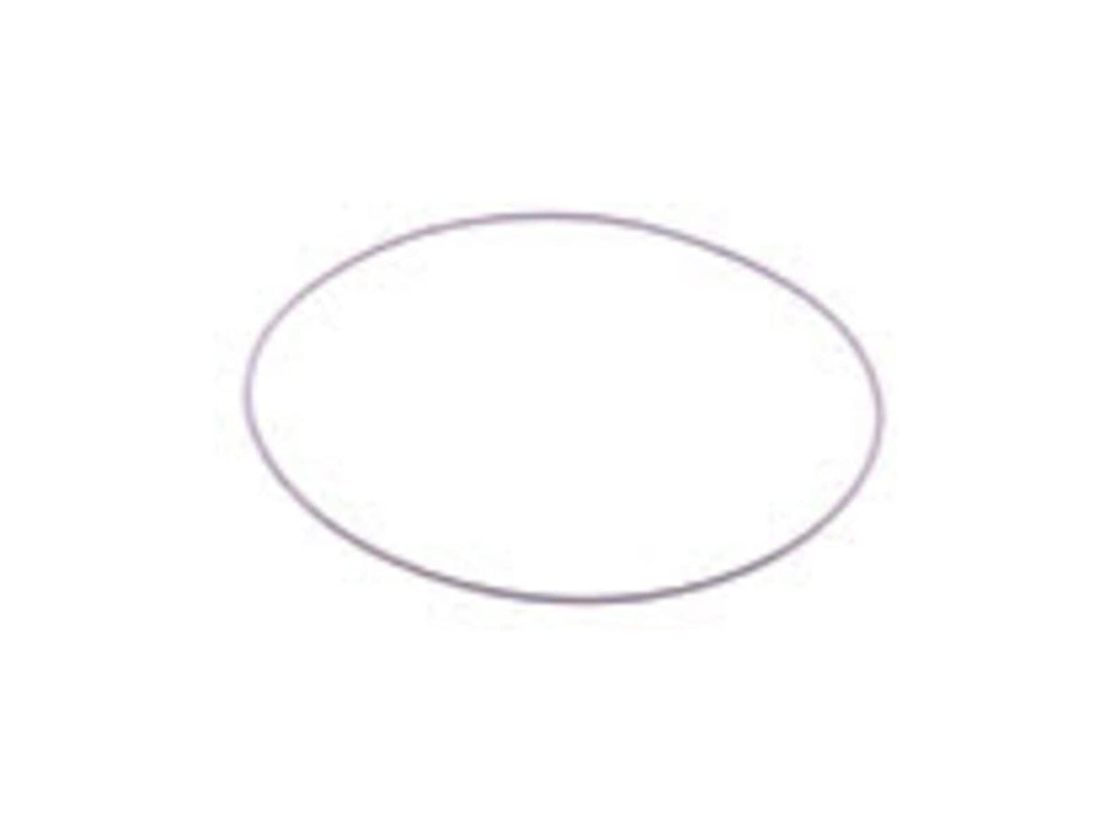 This is a genuine Echo P005000280 O-RING