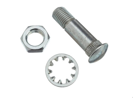 This is a genuine Ridgid 40410 HINGE BOLT, WASHER AND NUT