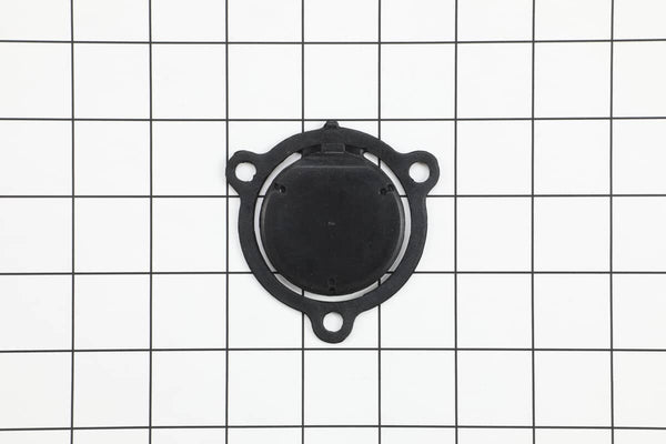 Shindaiwa 200900140 Intake Valve