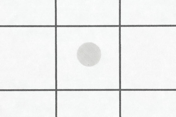 Shindaiwa P004001640 Inlet Screen
