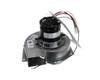 Trane BLW00362 BLOWER;INDUCED DRAFT, 2 STAGE