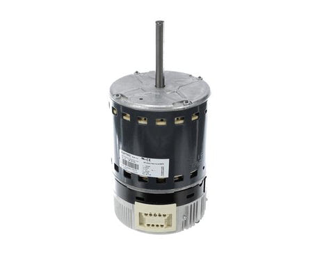 Trane MOT13982 58