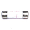 Ryobi 019604001028 Fuse 10 Amp