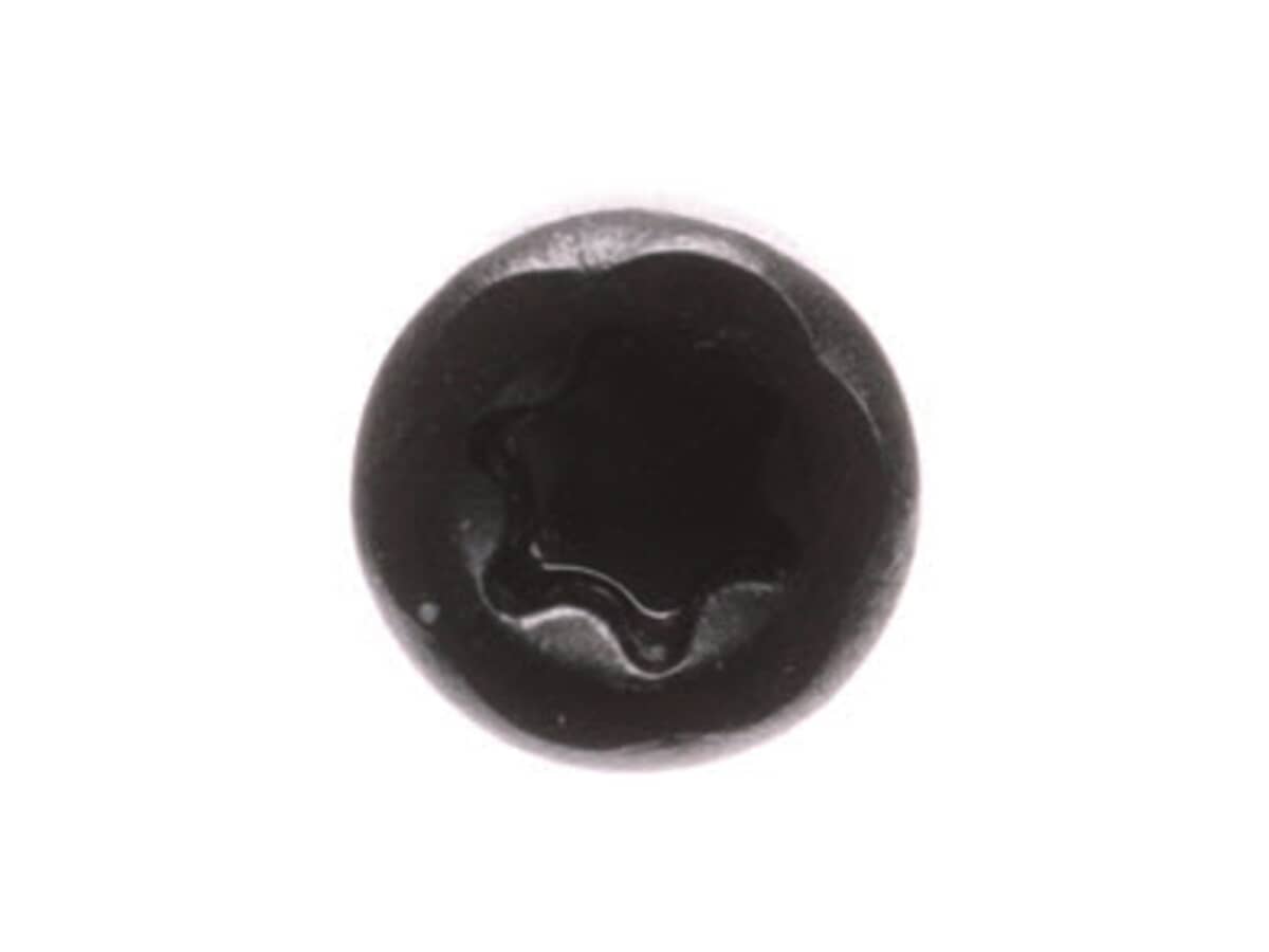 This is a genuine Ryobi 030157001019 SCREW