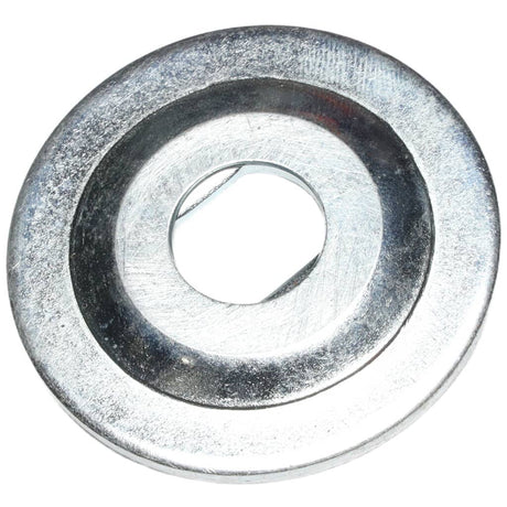 This is a genuine Ryobi 089041034053 BLADE WASHER