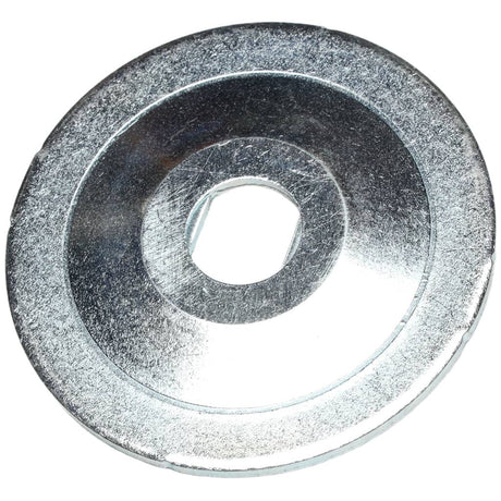 This is a genuine Ryobi 089041034139 BLADE WASHER