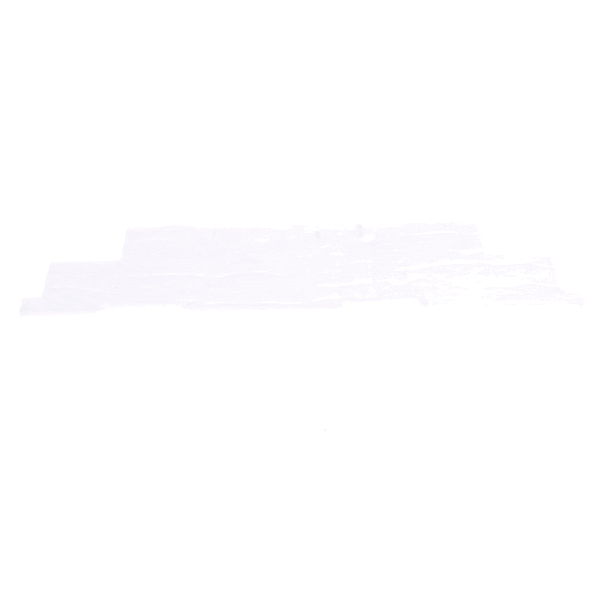 Whirlpool W11393126 SHIELD