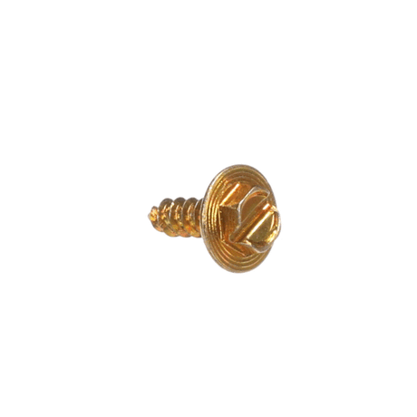 Whirlpool WPW10141645 SCREW