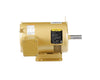 York S1-02439487000 Blower MOTOR,5HP,1750,208-460-
