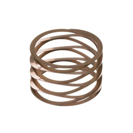 GE WR02X13645 SPRING CLUTCH AM