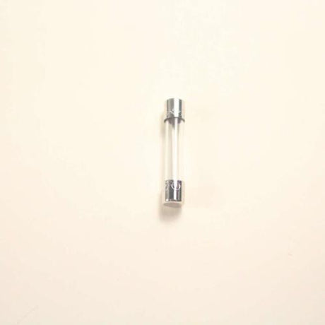 GE WB27X11138 FUSE