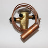 Rheem 61-102213-10 PRO EXPANSION VALVE