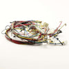 Samsung DG96-00150B ASSEMBLY MAIN WIRE HARNESS