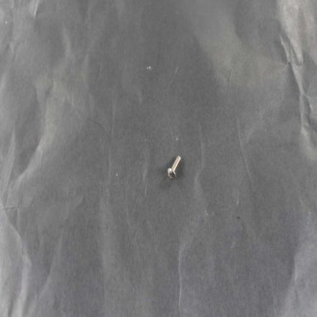 This is a genuine Bertazzoni Z290105 SCREW